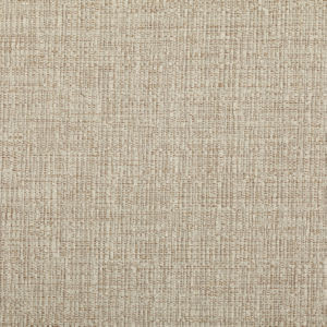 Calcutta Alabaster by Norbar Fabric CALCUTTA 100% POLYESTER CHINA 54 - Fabric Carolina -