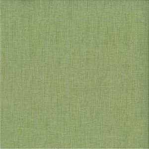 Cancun Grass by Norbar Fabric 100% POLYESTER INDIA 54" - Fabric Carolina -