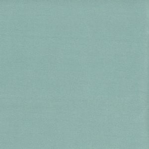 Caprio Astral by Norbar Fabric 100% POLYESTER INDIA 54 - Fabric Carolina -