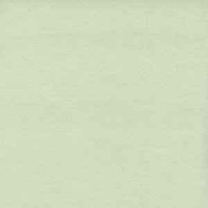 Caprio Celedon by Norbar Fabric 100% POLYESTER INDIA 54 - Fabric Carolina -