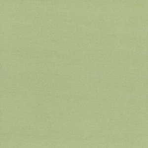 Caprio Celery by Norbar Fabric 100% POLYESTER INDIA 54 - Fabric Carolina -