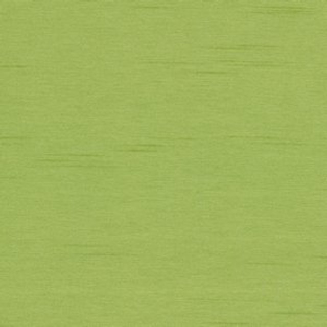 Cargo Keylime by Norbar Fabric 100 POLYESTER TAIWAN 54 - Fabric Carolina - Cargo Keylime by Norbar Fabric 100 POLYESTER TAIWAN 54 - Fabric Carolina -