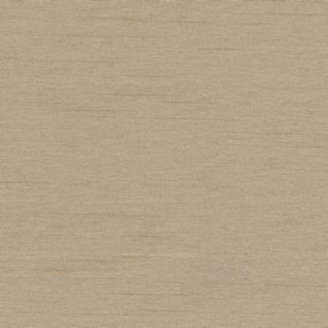 Cargo Putty by Norbar Fabric 100 POLYESTER TAIWAN 54 - Fabric Carolina -