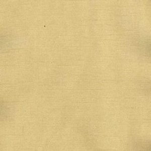 Charm Camel by Norbar Fabric 100% POLYESTER INDIA 54" - Fabric Carolina -