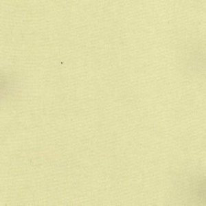 Charm Cameo by Norbar Fabric 100% POLYESTER INDIA 54" - Fabric Carolina -