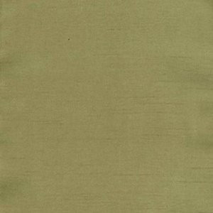 Charm Kiwi by Norbar Fabric 100% POLYESTER INDIA 54" - Fabric Carolina -