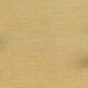 Charm Putty by Norbar Fabric 100% POLYESTER INDIA 54" - Fabric Carolina -