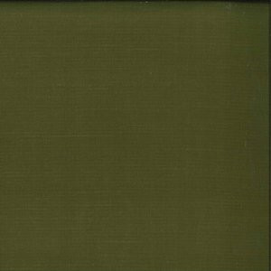 Citadel Earth by Norbar Fabric DELPHI 100% POLYESTER INDIA 54 - Fabric Carolina -