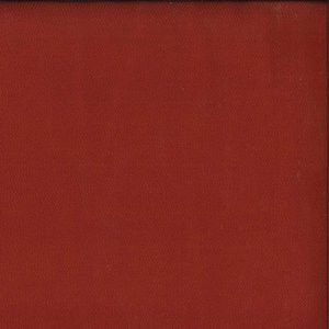 Crawford Brick by Norbar Fabric DELPHI 100% POLYESTER INDIA 54 - Fabric Carolina -