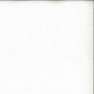 Crawford Ecru by Norbar Fabric DELPHI 100% POLYESTER INDIA 54 - Fabric Carolina -