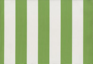 Crest Lime 3 by Norbar Fabric SUNBURST 100% SOLUTION DYED ACRYLIC ITALY 4"H 60 - Fabric Carolina -