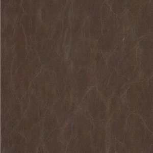 Gates Amber by Norbar Fabric 100% POLY VINYL CHLORIDE TAIWAN 54" - Fabric Carolina -
