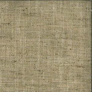 Kenya Acorn by Norbar Fabric RIDDLE 100% POLYESTER INDIA 54 - Fabric Carolina -