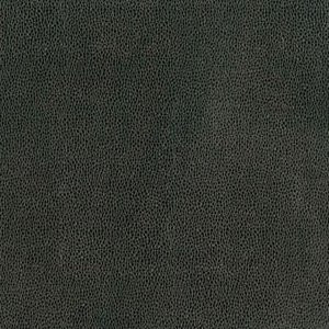 Lavish Black Pearl 491M by Norbar Fabric ENVICTA 100% POLYURETHANE KOREA 54" - Fabric Carolina -