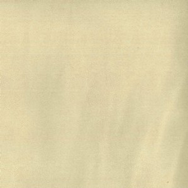 Lavish Vanilla by Norbar Fabric ENVICTA 100% POLYURETHANE KOREA 54" - Fabric Carolina -