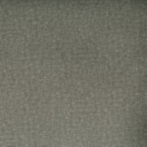 Lenore Cement 99 by Norbar Fabric QUARRY 100% POLYESTER CHINA 55 - Fabric Carolina -