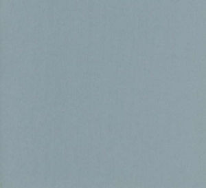 Lenox Dew by Norbar Fabric 100% COMBED COTTON INDIA 54 - Fabric Carolina -