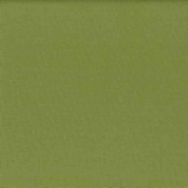 Lenox Sprout by Norbar Fabric 100% COMBED COTTON INDIA 54 - Fabric Carolina - Lenox Sprout by Norbar Fabric 100% COMBED COTTON INDIA 54 - Fabric Carolina -
