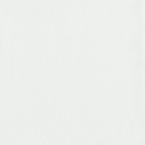 Mentor White 6 by Norbar Fabric ATRIUM 100% PVC - BACK 100% POLY CHINA 54 - Fabric Carolina -