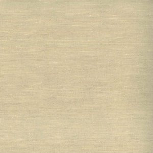 Mikado Champagne 16 by Norbar Fabric KENDRA 100% POLYESTER INDIA 54 - Fabric Carolina -