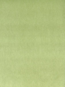 Othello Sprout 312 by Norbar Fabric OTHELLO 75% POLYESTER 25% COTTON CHINA 54 - Fabric Carolina -