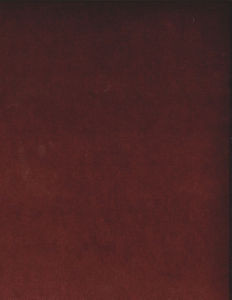 Othello Wine 553 by Norbar Fabric OTHELLO 75% POLYESTER 25% COTTON CHINA 54 - Fabric Carolina -