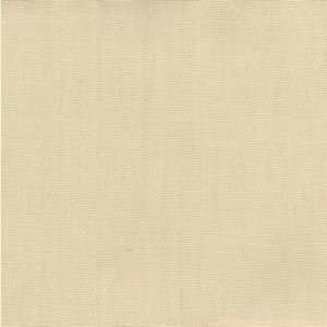 Pablo Canvas 106 by Norbar Fabric PABLO 100% COTTON TURKMANISTAN 54" - Fabric Carolina -