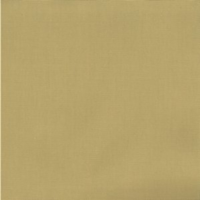 Pablo Honey Beige 1 by Norbar Fabric PABLO 100% COTTON TURKMANISTAN 54" - Fabric Carolina - Pablo Honey Beige 1 by Norbar Fabric PABLO 100% COTTON TURKMANISTAN 54" - Fabric Carolina -
