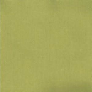 Pablo Peat Moss 245 by Norbar Fabric PABLO 100% COTTON TURKMANISTAN 54" - Fabric Carolina -