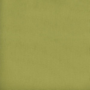Parma Pear 288 by Norbar Fabric PARMA 100% COTTON USA 54 - Fabric Carolina -