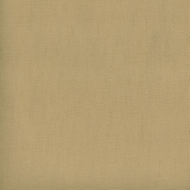 Parma Sand 102 by Norbar Fabric PARMA 100% COTTON USA 54 - Fabric Carolina -
