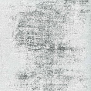 Pence Linen by Norbar Fabric DESTINY 58% POLYESTER 42% COTTON INIDA 15"V 18"H 54 - Fabric Carolina -