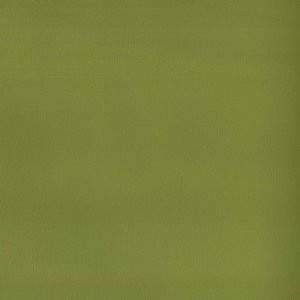 Pinto Lime 39 by Norbar Fabric 100% POLYURETHANE SPAIN 55 - Fabric Carolina -