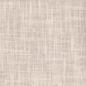 Planet Dove by Norbar Fabric PLANET 79% COTTON 21% POLYESTER INDIA 55 - Fabric Carolina -