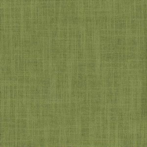Planet Leaf by Norbar Fabric PLANET 79% COTTON 21% POLYESTER INDIA 55 - Fabric Carolina -