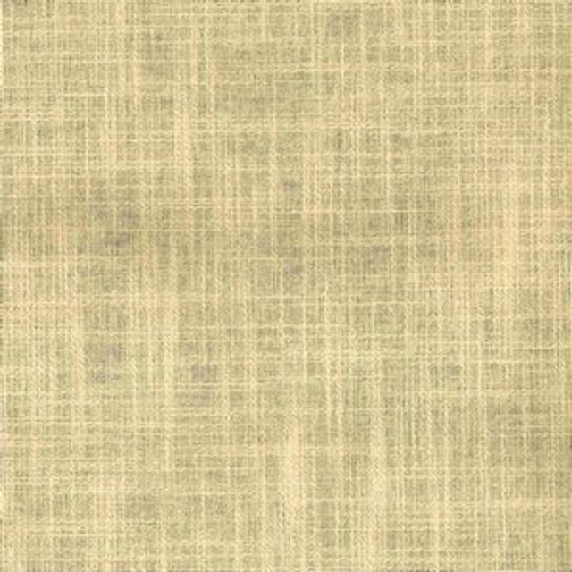 Planet Sand Dollar by Norbar Fabric PLANET 79% COTTON 21% POLYESTER INDIA 55 - Fabric Carolina -