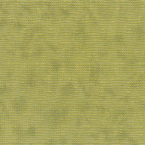 Plimpton Asparagus by Norbar Fabric POLY VINYL KOREA 54 - Fabric Carolina -