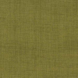 Rally Kiwi by Norbar Fabric ATRIUM 100% POLYESTER WITH ACRYLIC S. KOREA 55 - Fabric Carolina -