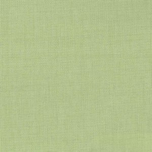 Rally Willow by Norbar Fabric ATRIUM 100% POLYESTER WITH ACRYLIC S. KOREA 55 - Fabric Carolina -