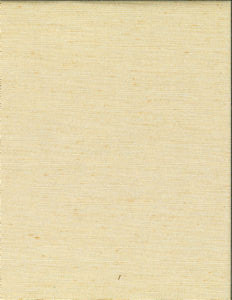 Ramos Champagne 06 by Norbar Fabric KENT 100% POLYESTER INDIA 54" - Fabric Carolina -