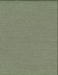 Ramos Silver Sage 23 by Norbar Fabric KENT 100% POLYESTER INDIA 54" - Fabric Carolina -