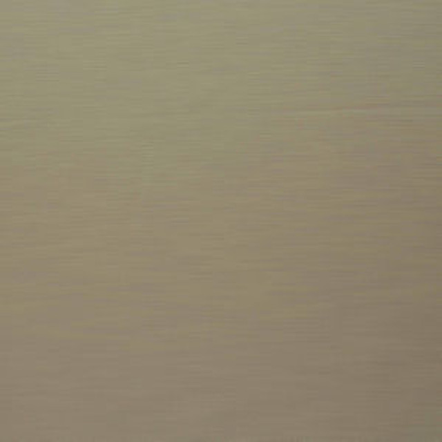 Regency Rain by Norbar Fabric REGENCY 100% POLYESTER INDIA 55 - Fabric Carolina -