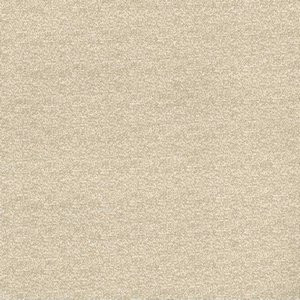 Rosino Beige 11 by Norbar Fabric 59% POLYACRYLIC GERMANY 54 - Fabric Carolina -