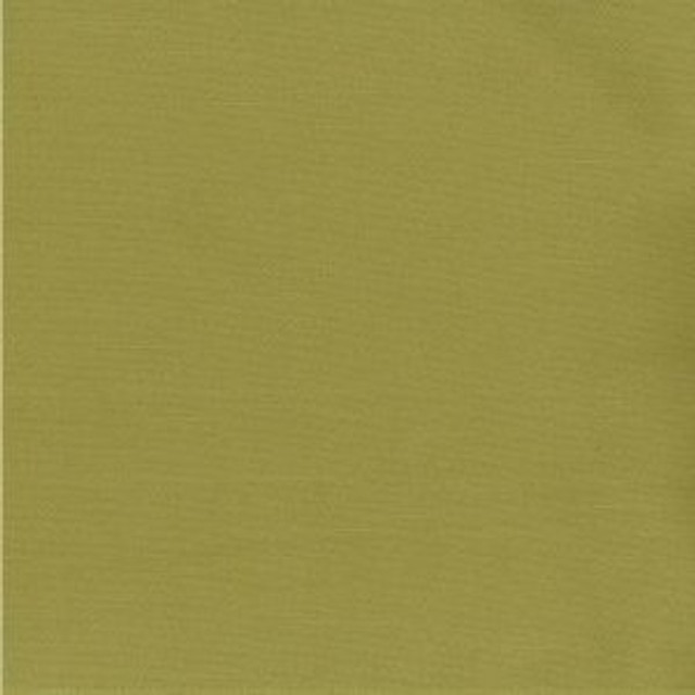 Saigon Verde by Norbar Fabric See Sample 60% COTTON 40% POLYESTER TAIWAN - </p><p>Repeat: Horizontal: and Vertical: - 54" - Fabric Carolina -