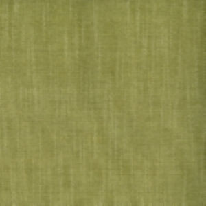 Silas Fern by Norbar Fabric CANYON 100% POLYESTER CHINA 54 - Fabric Carolina -