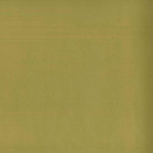 Tally Citron 54 by Norbar Fabric ENVICTA 100% POLYURETHANE CHINA 54 - Fabric Carolina -