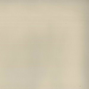 Tally Cream 6003 by Norbar Fabric ENVICTA 100% POLYURETHANE CHINA 54 - Fabric Carolina -