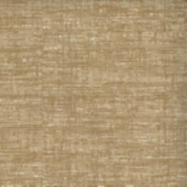 Tandem Almond by Norbar Fabric PUNJAB 54 COTTON 46 POLYESTER INDIA 54 - Fabric Carolina -