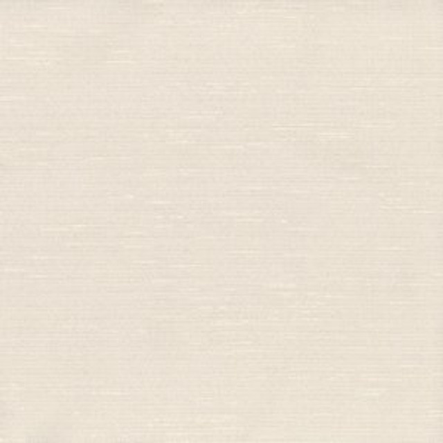 Tangier Froth by Norbar Fabric 80% POLYESTER 20% RAYON INDIA 54" - Fabric Carolina -