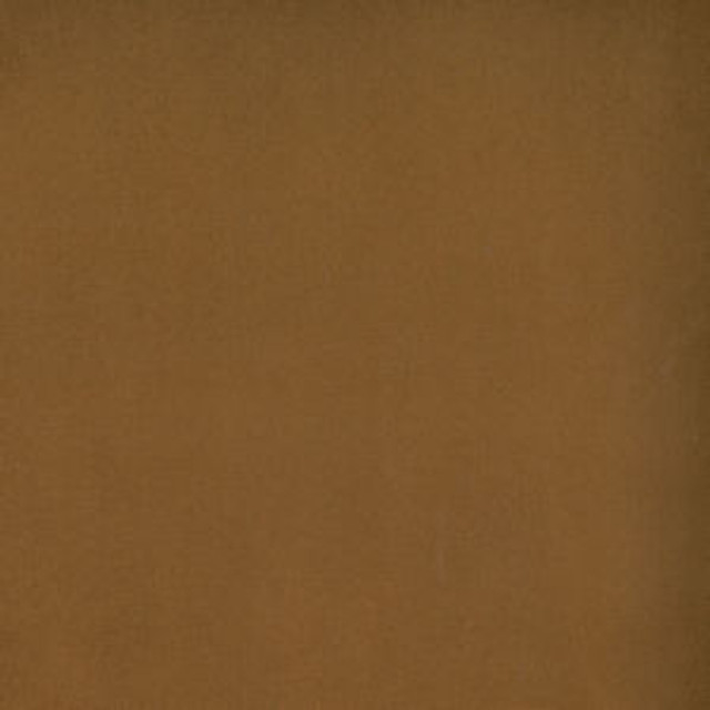 Toledo Rust 7526 by Norbar Fabric SUEDE 80 POLYESTER 15 COT 5 POLYURET 55 - Fabric Carolina -